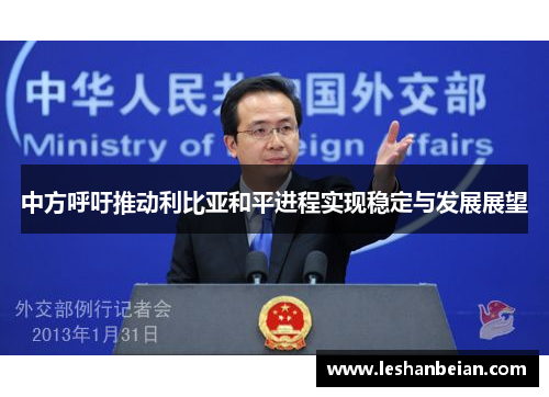 中方呼吁推动利比亚和平进程实现稳定与发展展望